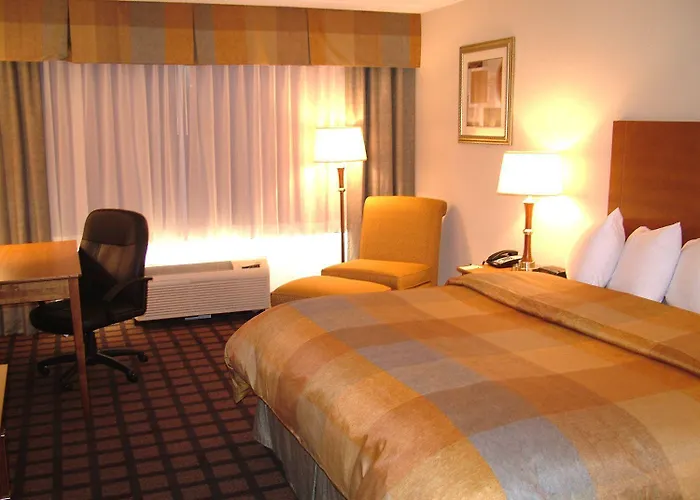 Western Chicago 3* Hillside